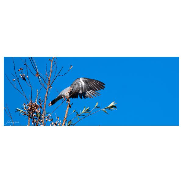 PHOTO84, CLUB, 84 , LUBERON